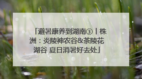 避暑康养到湖南③丨株洲：炎陵神农谷&茶陵花湖谷 夏日消暑好去处